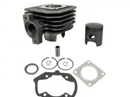Kit cylindre piston (fonte) pour scooter peugeot ludix 50 2temps one snake...