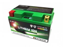 Batterie Skyrich Lithium Ion LTZ14S sans entretien