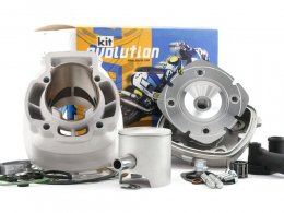 Kit cylindre Polini Evolution 3 70 Piaggio NRG