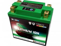 Batterie Skyrich Lithium Ion LIB9 sans entretien