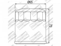Filtre Ã  huile Champion COF203