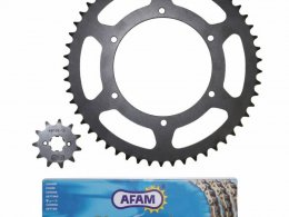 Kit chaÃ®ne Afam 11x53 Derbi 50 GPR 06-