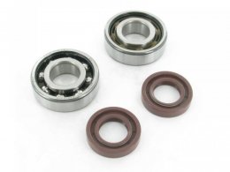 Kit roulements SKF + Joints Spy Derbi Euro 2/3