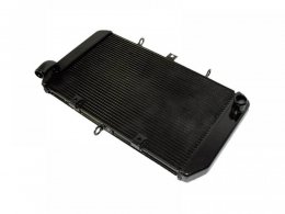 Radiateur d'eau Bihr pour Kawasaki Z 1000 07-09