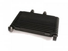 Radiateur d'huile Suzuki GSF 1200 Bandit 96-00