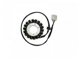 Stator dâallumage Electrosport Kawasaki Z 1000 10-15