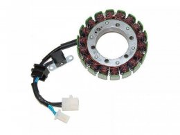 Stator dâallumage Electrosport Suzuki VL 1500 Intruder 98-04