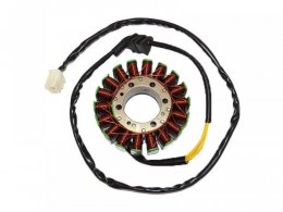 Stator dâallumage SGR pour Honda CBR 900 RR Fireblade 92-95