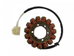 Stator dâallumage SGR pour Kawasaki ZX-10 R 06-07