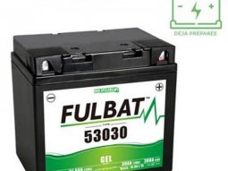 Batterie marque Fulbat 53030 12v30ah lg186 l130 h171 (gel - sans entretien)