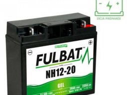 Batterie marque Fulbat nh12-20 12v20ah lg182 l77 h168 (gel - sans entretien)