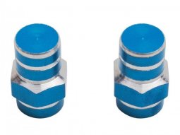 Bouchons de valve x2 Replay 6 pans bleu