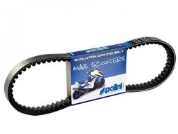 Courroie marque Polini pour maxi-scooter 400 piaggio mp3 (renf. aramide)