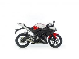 Pot d'échappement Leovince SBK GP Style pour moto Yamaha YZF...