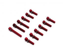 Vis carter alu rouge 6x25 / 40 / 45 (x12) pour scooter booster / bw's