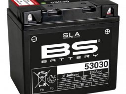 Batterie BS Battery 53030 SLA 12V 30Ah activÃ©e usine