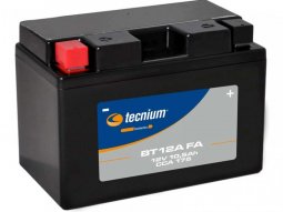 Batterie Tecnium BT12A 10,5Ah AGM