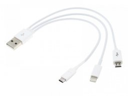 Cable de chargeur USB Chaft 3 en 1