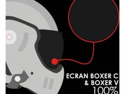 Ãcran Roof RO5 Boxer Classic et Boxer V fumÃ©...