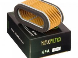 Filtre à air Hiflofiltro HFA4201