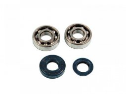 Kit roulements et spis SKF 6204 C4 Booster
