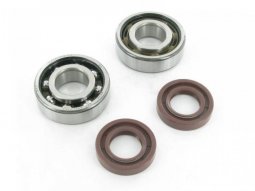 Kit roulements SKF + Joints Spy Derbi Euro 2 / 3