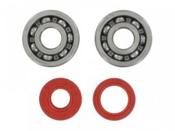 Kit roulements vilebrequin 6303 C4 TPI Racing pour AM6