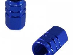 Paire de bouchons de valves Brazoline Écrou bleu