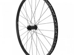 Roue avant de VTT 29 DT Swiss H1900 Disc axe traversant 15x110mm Tube"