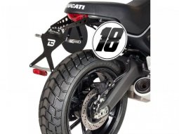 Support de plaque d’immatriculation Barracuda Ducati Scrambler 800 1