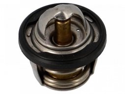 Thermostat dâeau 1C0E24110000 125 Yamaha Majesty / MBK Skyliner